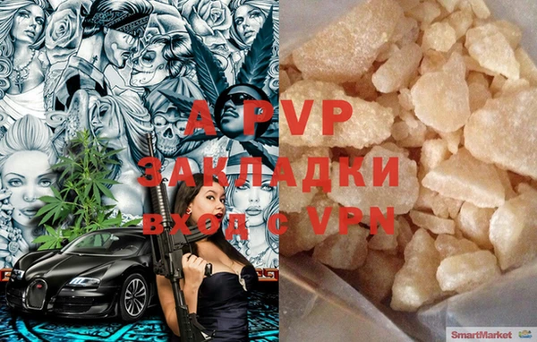 гашик Белокуриха