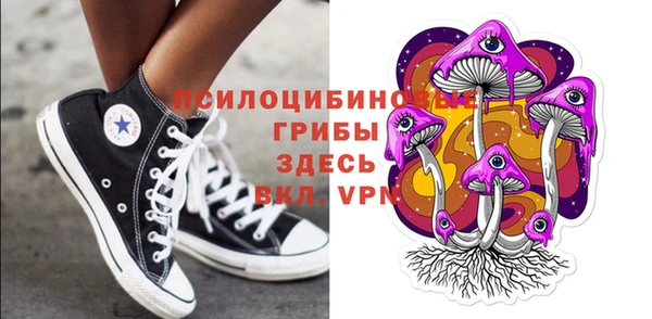 соль курить ск Богданович