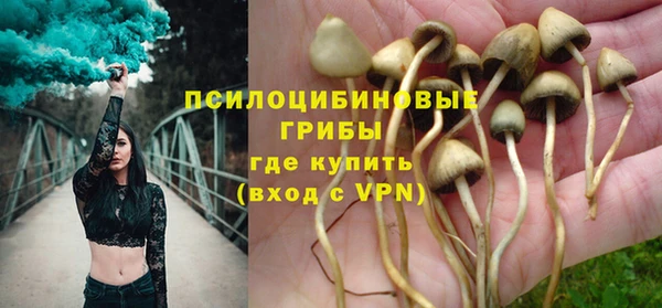гашик Белокуриха