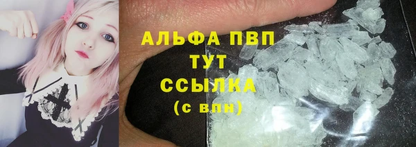 гашик Белокуриха